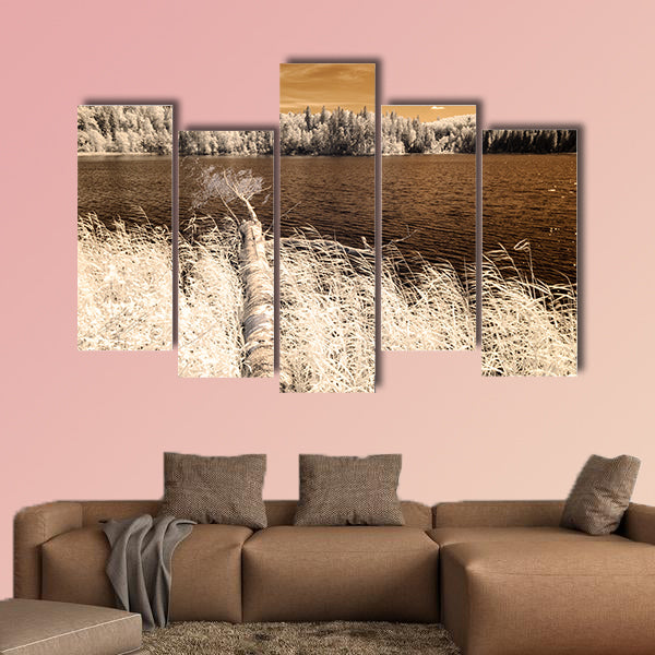 Forest by the lake in hot summer day multi panel canvas wall art