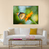 Orange butterfly on flower, Thailand Multi Panel Canvas Wall Art