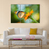 Orange butterfly on flower, Thailand Multi Panel Canvas Wall Art