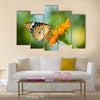 Orange butterfly on flower, Thailand Multi Panel Canvas Wall Art