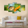 Orange butterfly on flower, Thailand Multi Panel Canvas Wall Art