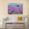 Lavender field in Banstead Surrey Multi panel canvas wall art