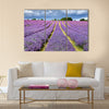 Lavender field in Banstead Surrey Multi panel canvas wall art