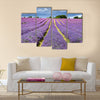 Lavender field in Banstead Surrey Multi panel canvas wall art