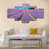 Lavender field in Banstead Surrey Multi panel canvas wall art