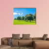 Sheep grazing in a green field surrounded by beech trees wall art