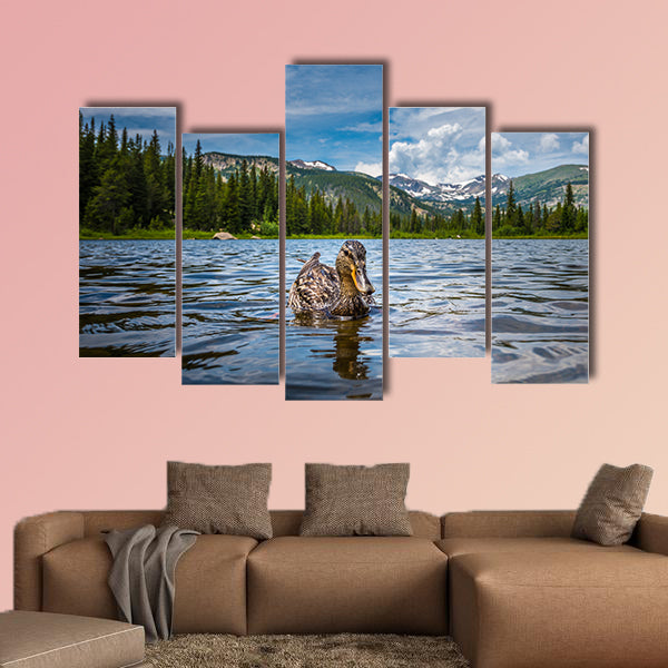 The Mallard Duck Female Lost Lake Colorado low angle multi panel canvas wall art