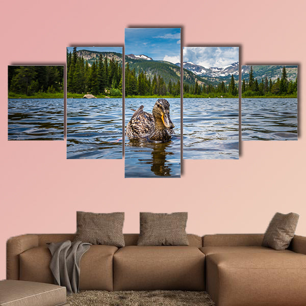 The Mallard Duck Female Lost Lake Colorado low angle multi panel canvas wall art