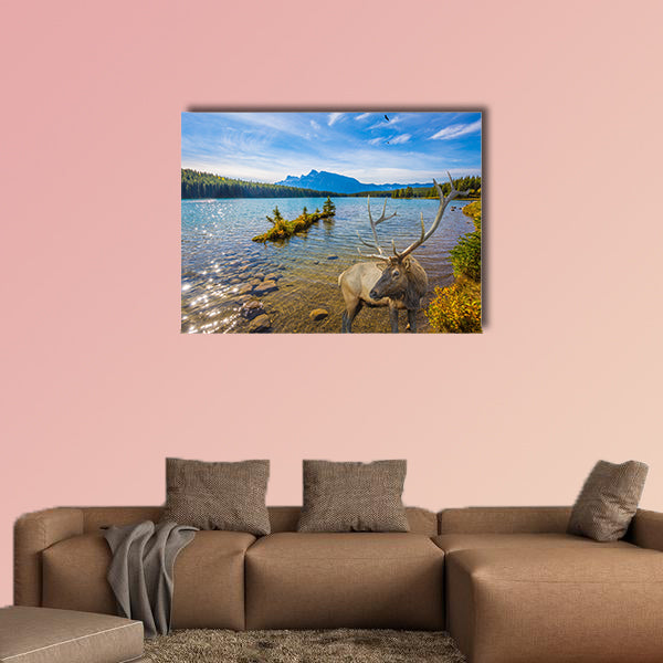 The magnificent noble deer with branched horns graze wall art