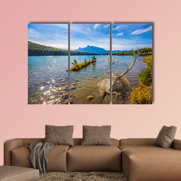 The magnificent noble deer with branched horns graze wall art