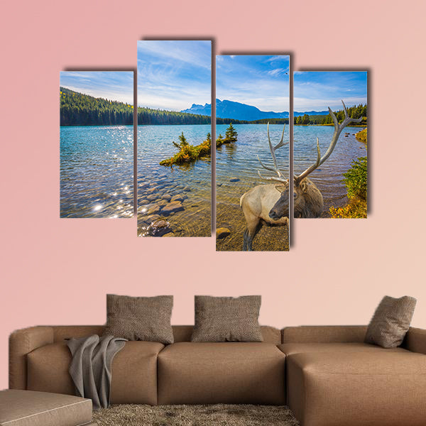 The magnificent noble deer with branched horns graze wall art