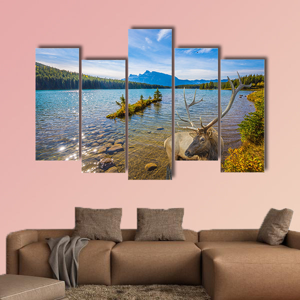 The magnificent noble deer with branched horns graze wall art