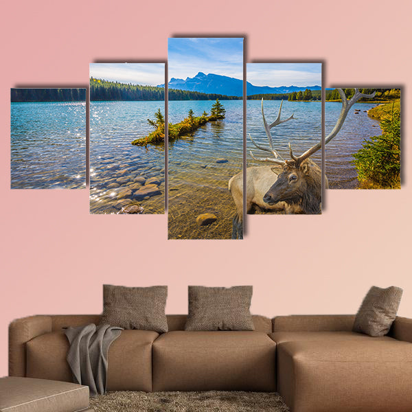 The magnificent noble deer with branched horns graze wall art