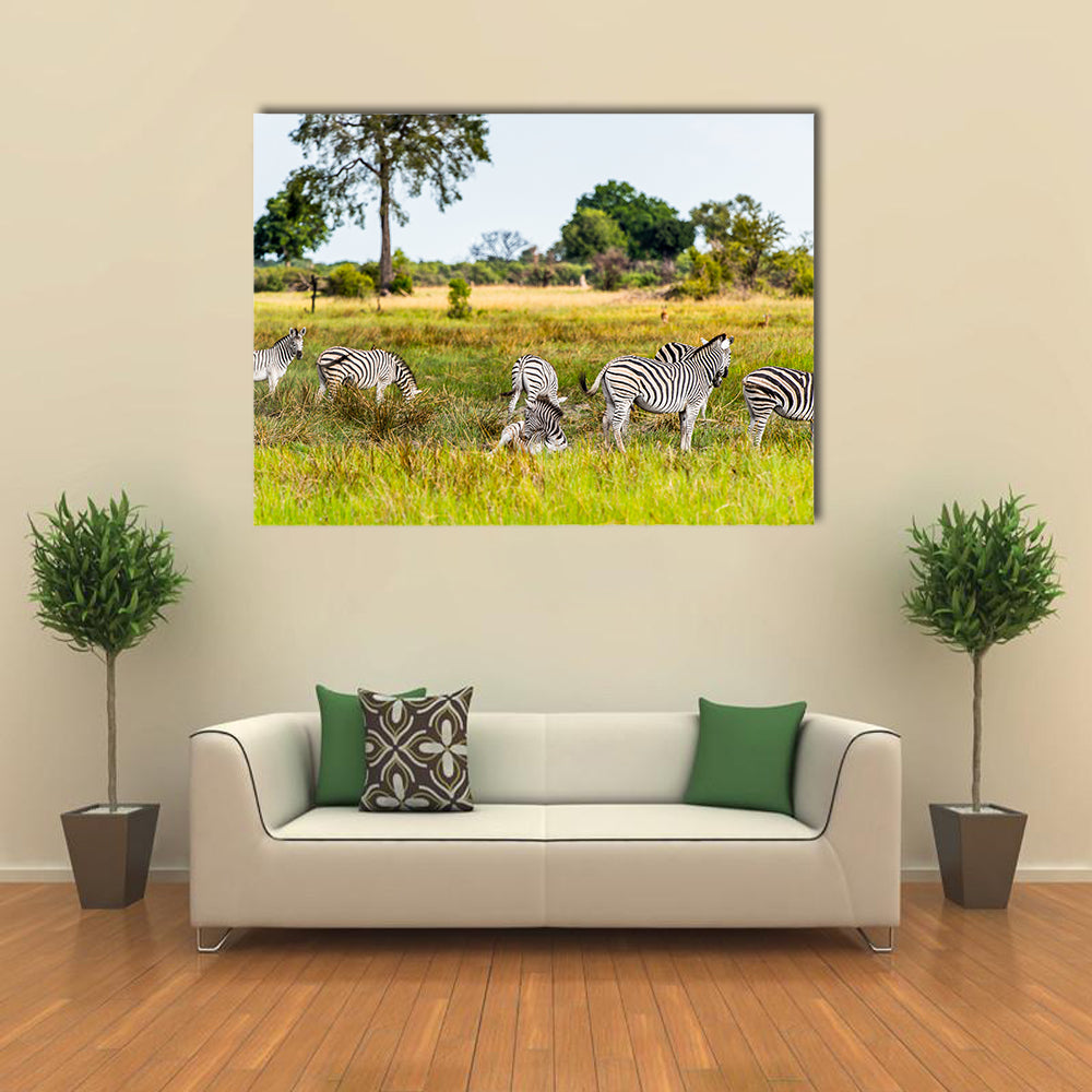 Zebras flock in the Moremi Game Reserve National Park, Botswana Multi Panel Canvas Wall Art