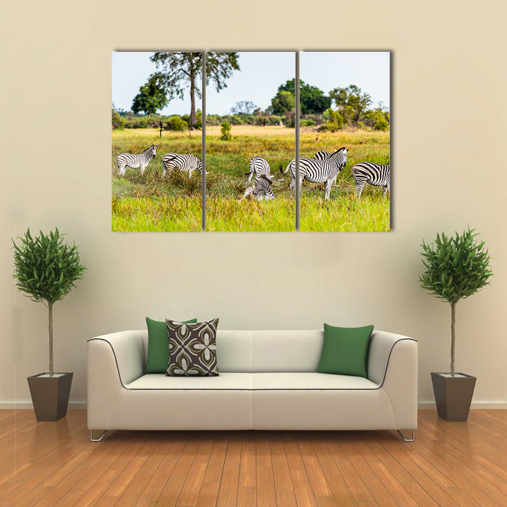 Zebras flock in the Moremi Game Reserve National Park, Botswana Multi Panel Canvas Wall Art