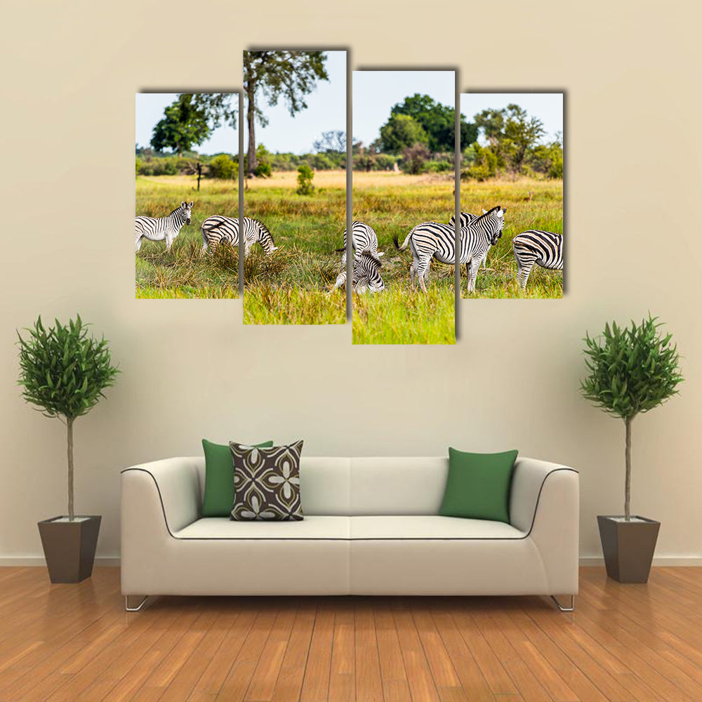 Zebras flock in the Moremi Game Reserve National Park, Botswana Multi Panel Canvas Wall Art