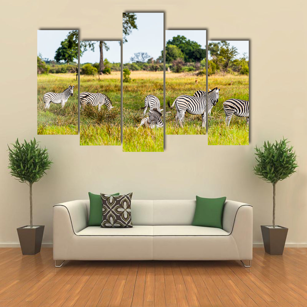 Zebras flock in the Moremi Game Reserve National Park, Botswana Multi Panel Canvas Wall Art