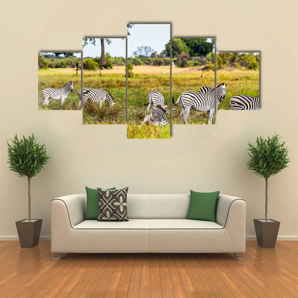 Zebras flock in the Moremi Game Reserve National Park, Botswana Multi Panel Canvas Wall Art