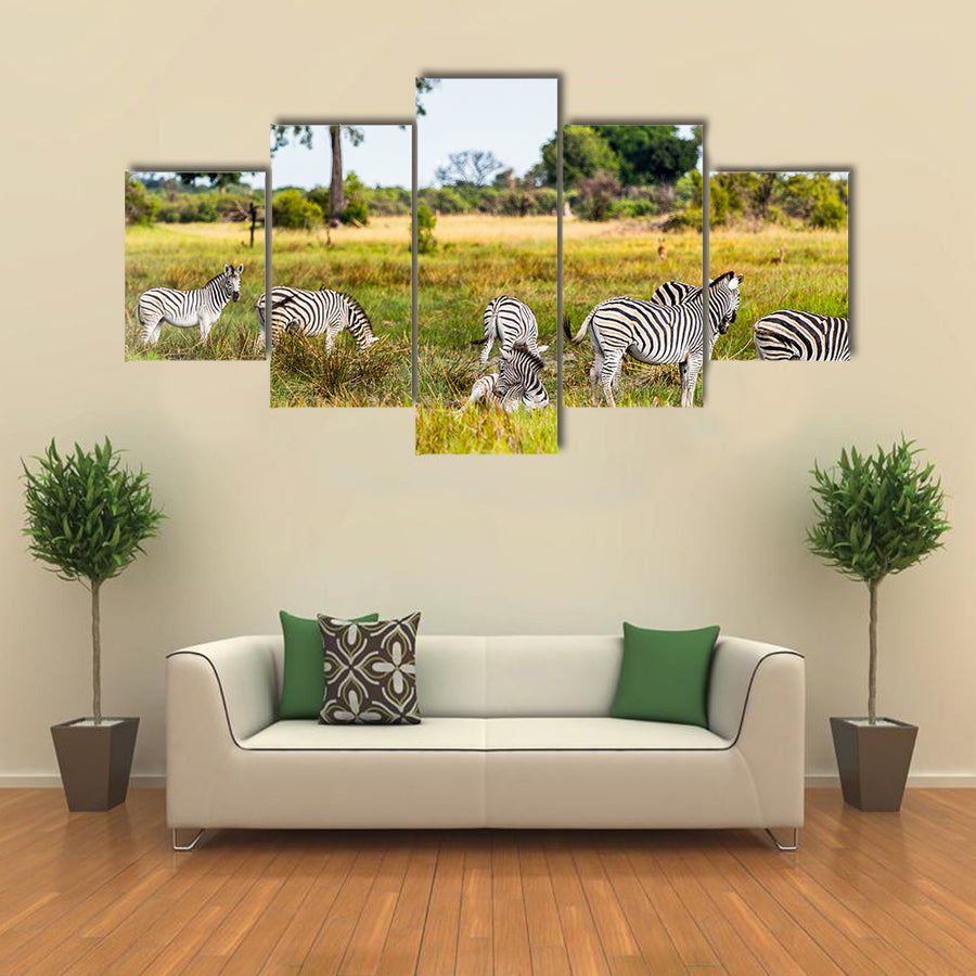 Zebras flock in the Moremi Game Reserve National Park, Botswana Multi Panel Canvas Wall Art