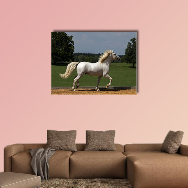 Pride runs the horse across the riding arena multi panel canvas wall art