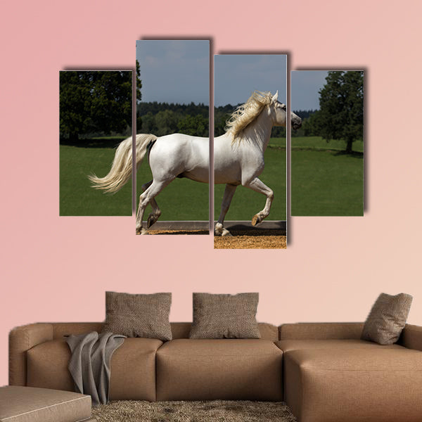 Pride runs the horse across the riding arena multi panel canvas wall art