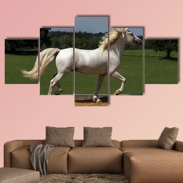 Pride runs the horse across the riding arena multi panel canvas wall art