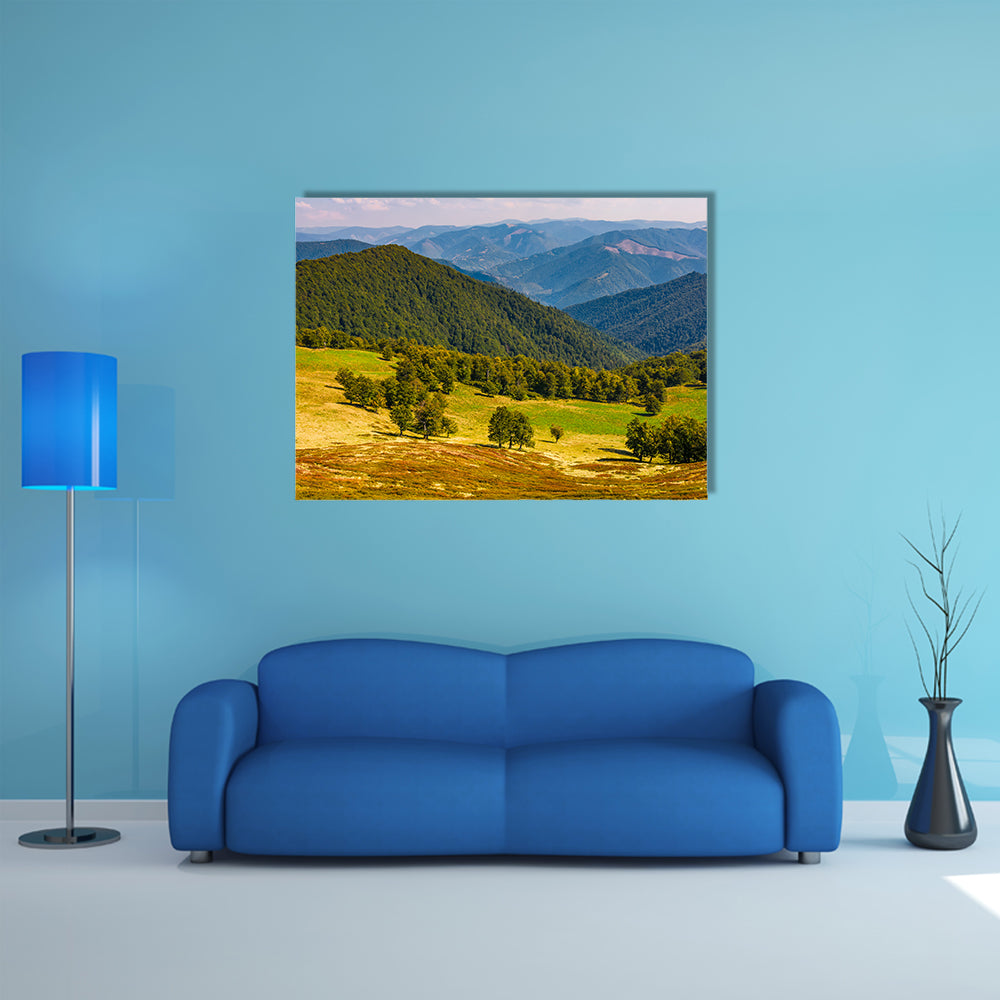 The Beech trees, meadow, on hillside with mountain ridge in a distance multi panel canvas wall art