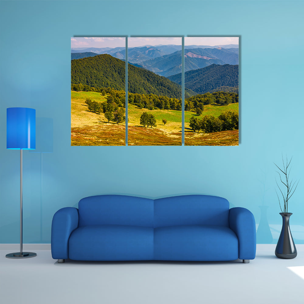 The Beech trees, meadow, on hillside with mountain ridge in a distance multi panel canvas wall art