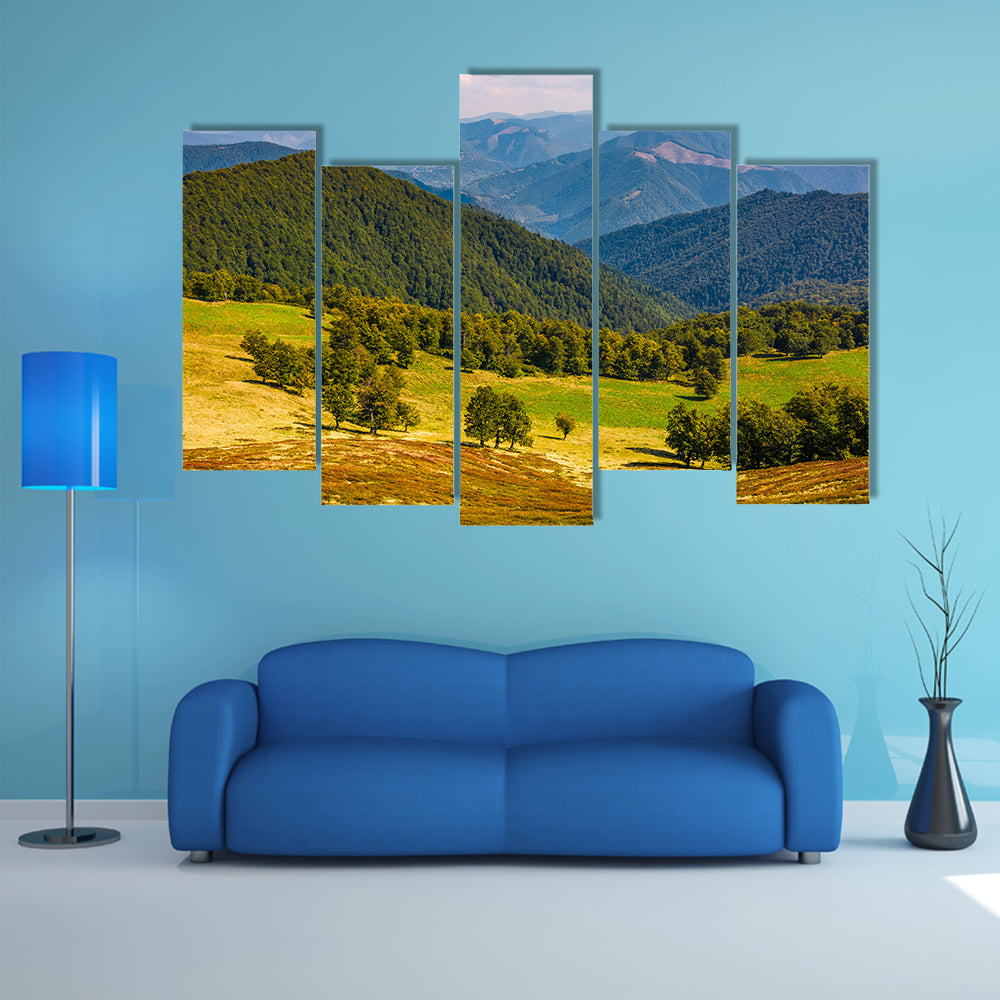 The Beech trees, meadow, on hillside with mountain ridge in a distance multi panel canvas wall art