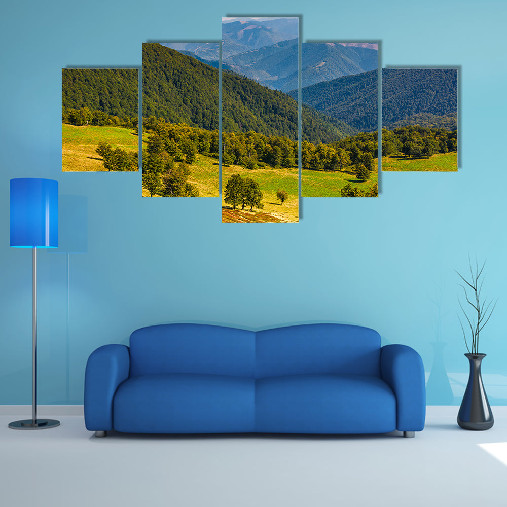 The Beech trees, meadow, on hillside with mountain ridge in a distance multi panel canvas wall art