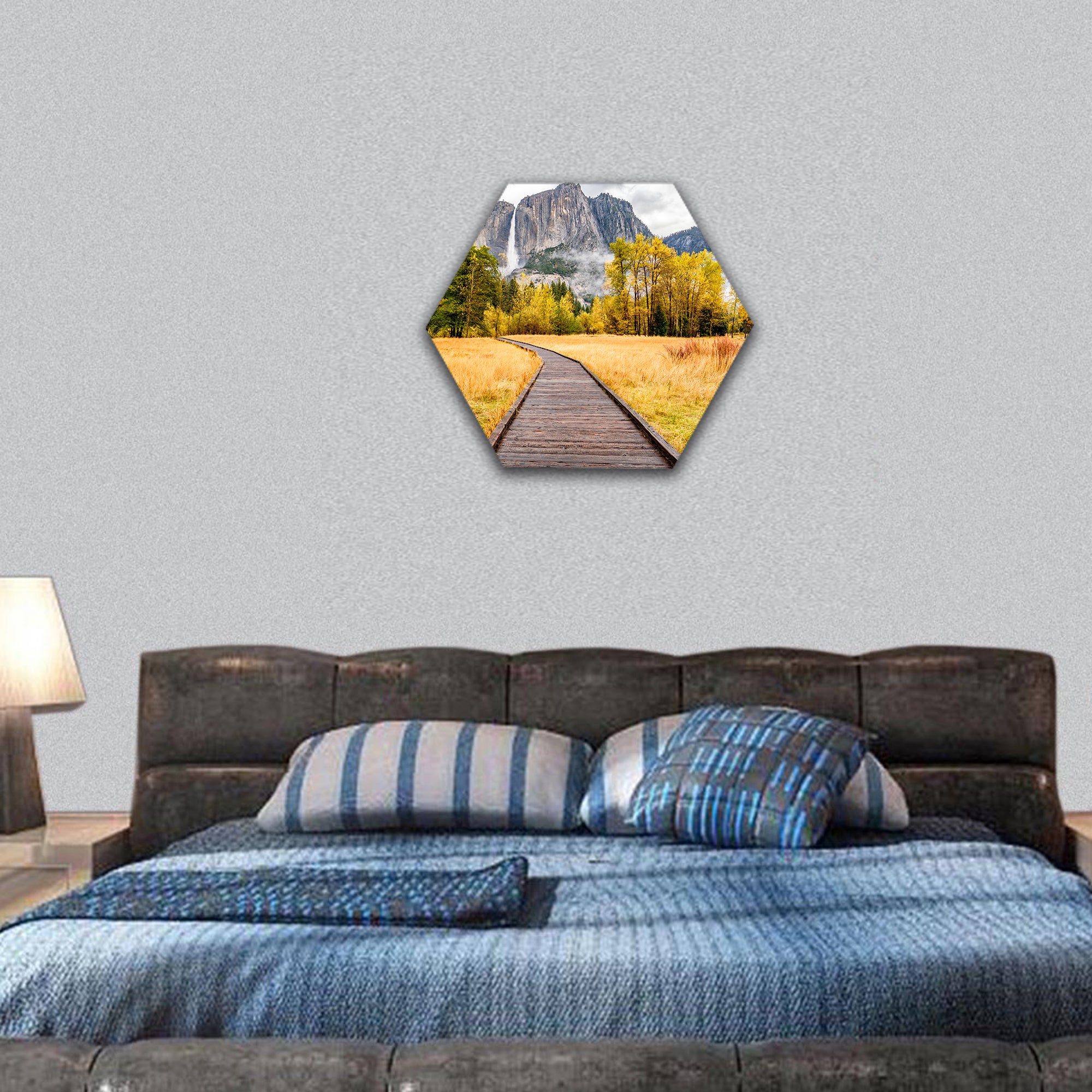 Meadow with boardwalk in Yosemite National Park Valley hexagonal canvas wall art