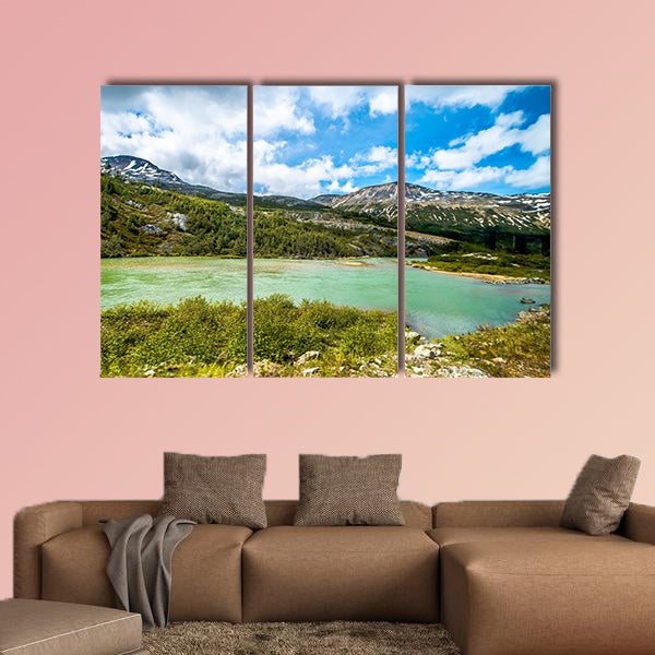 White pass mountains in british Columbia Multi panel canvas wall art