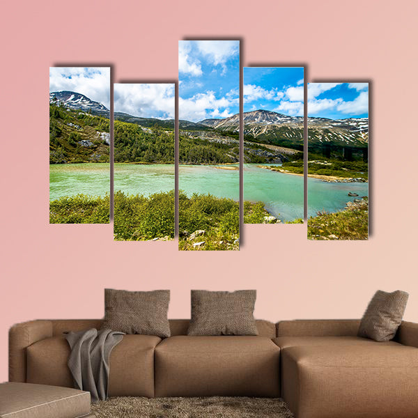 White pass mountains in british Columbia Multi panel canvas wall art