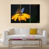 Blue butterfly on yellow flower Multi Panel Canvas Wall Art