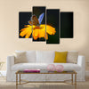 Blue butterfly on yellow flower Multi Panel Canvas Wall Art