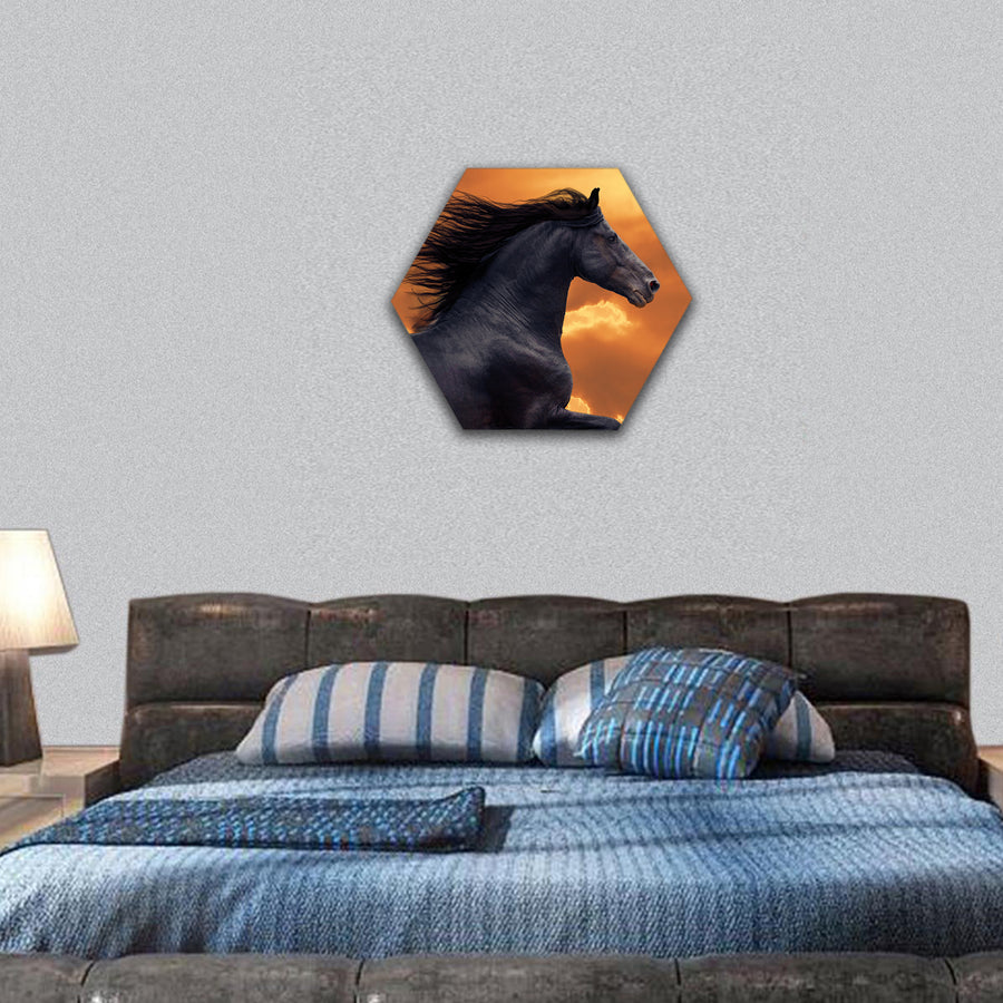 Portrait of galloping frisian horse hexagonal canvas wall art