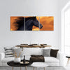 Portrait of galloping frisian horse Panoramic  Canvas Wall Art