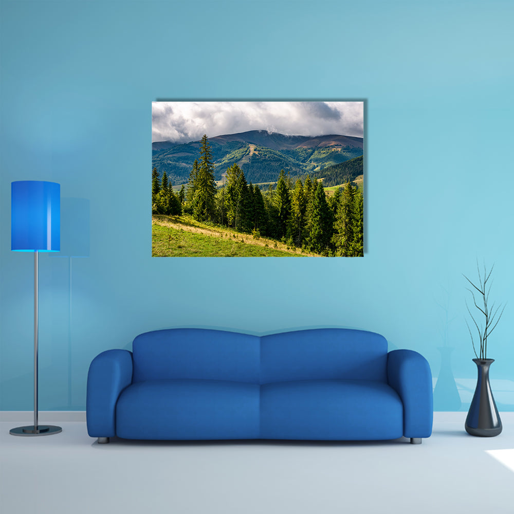 Spruce trees on hillside on cloudy day in a gorgeous weather in Carpathain Mountains multi panel canvas wall art