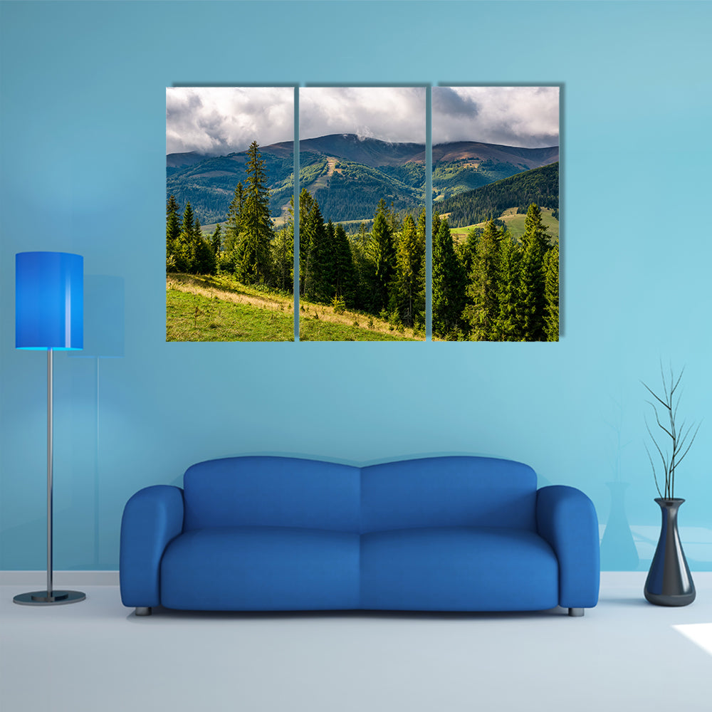 Spruce trees on hillside on cloudy day in a gorgeous weather in Carpathain Mountains multi panel canvas wall art
