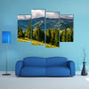 Spruce trees on hillside on cloudy day in a gorgeous weather in Carpathain Mountains multi panel canvas wall art