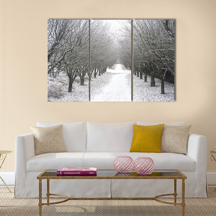 Beautiful park in the winter Multi panel canvas wall art Success