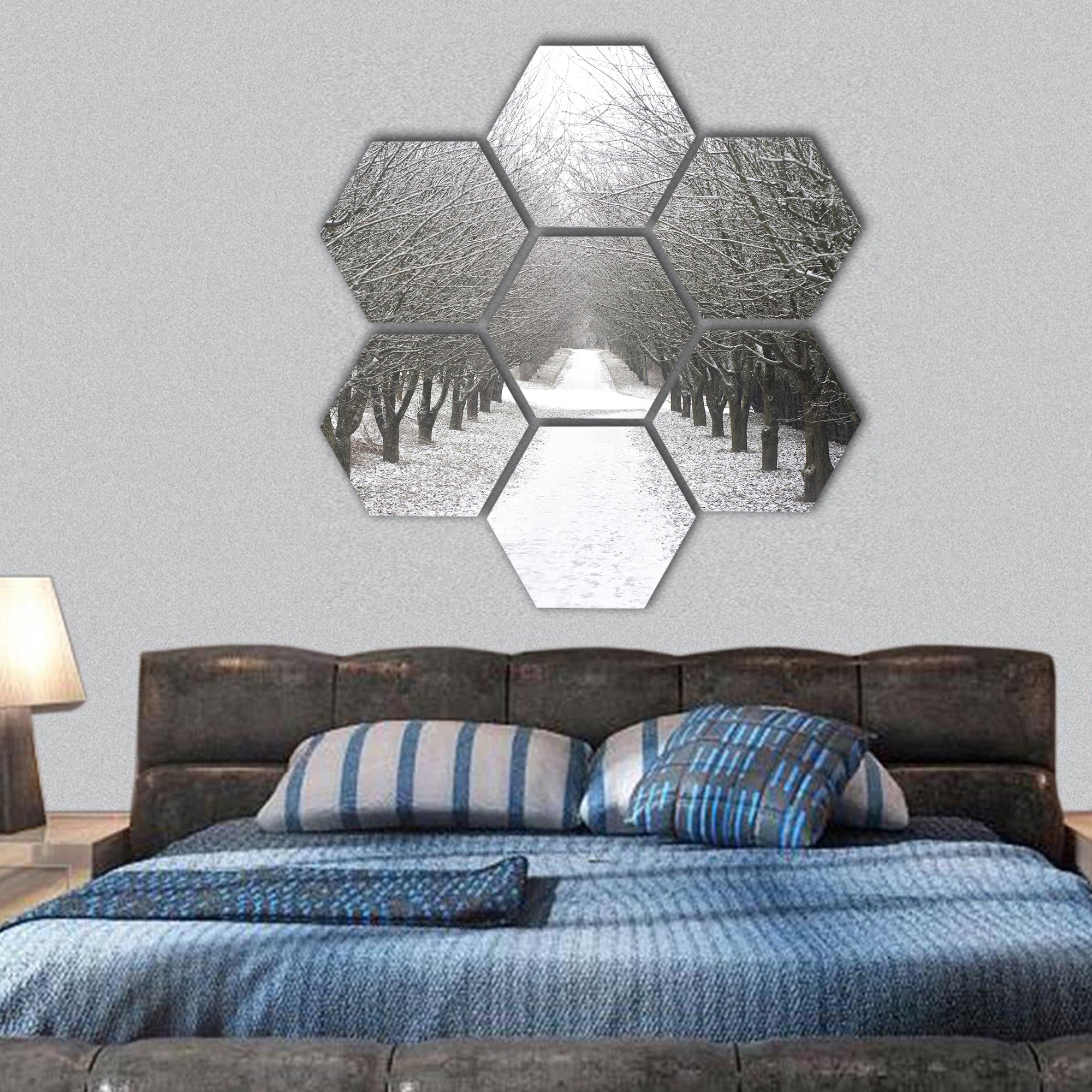 Beautiful park in the winter hexagonal canvas wall art