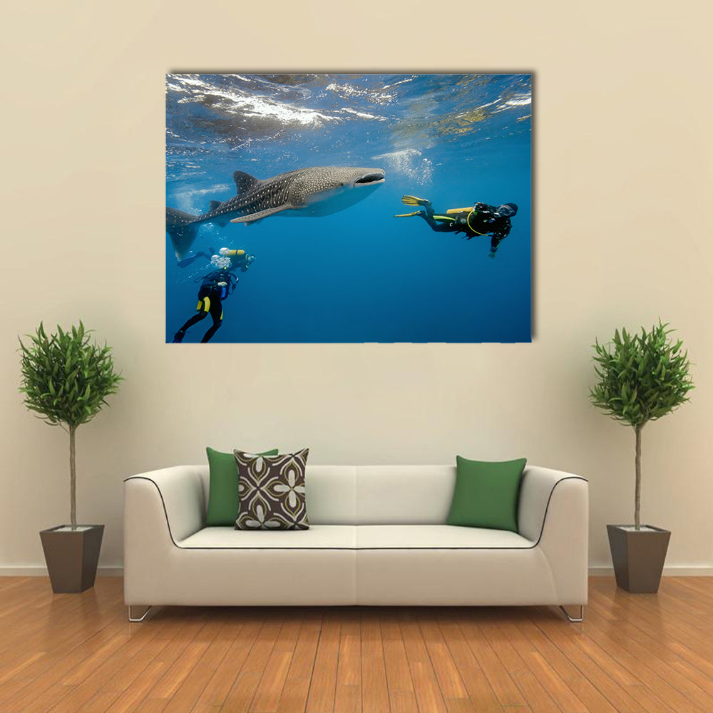Whale Shark And Divers Multi Panel Canvas Wall Art