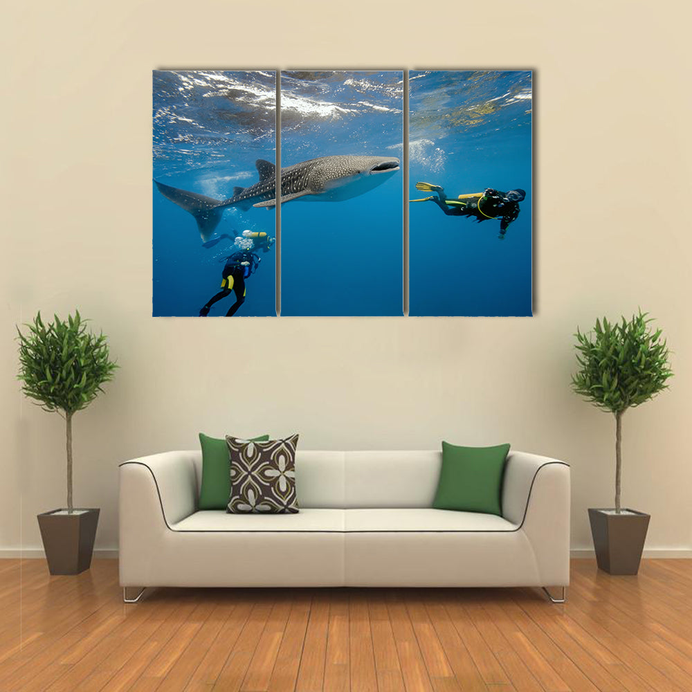Whale Shark And Divers Multi Panel Canvas Wall Art
