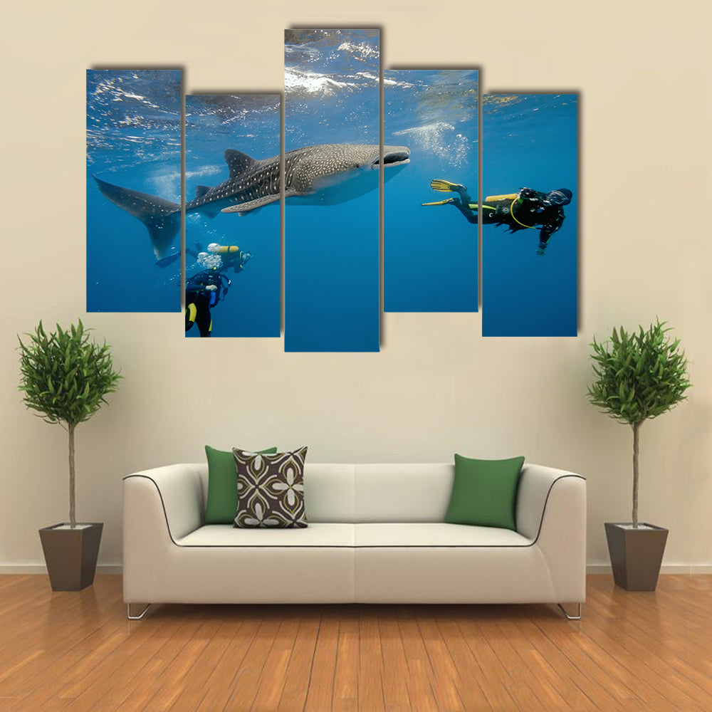 Whale Shark And Divers Multi Panel Canvas Wall Art