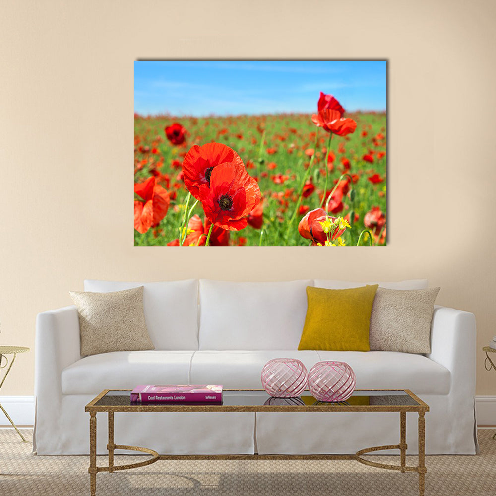 Summer landscape, wild poppy flowers field Multi Panel Canvas Wall Art