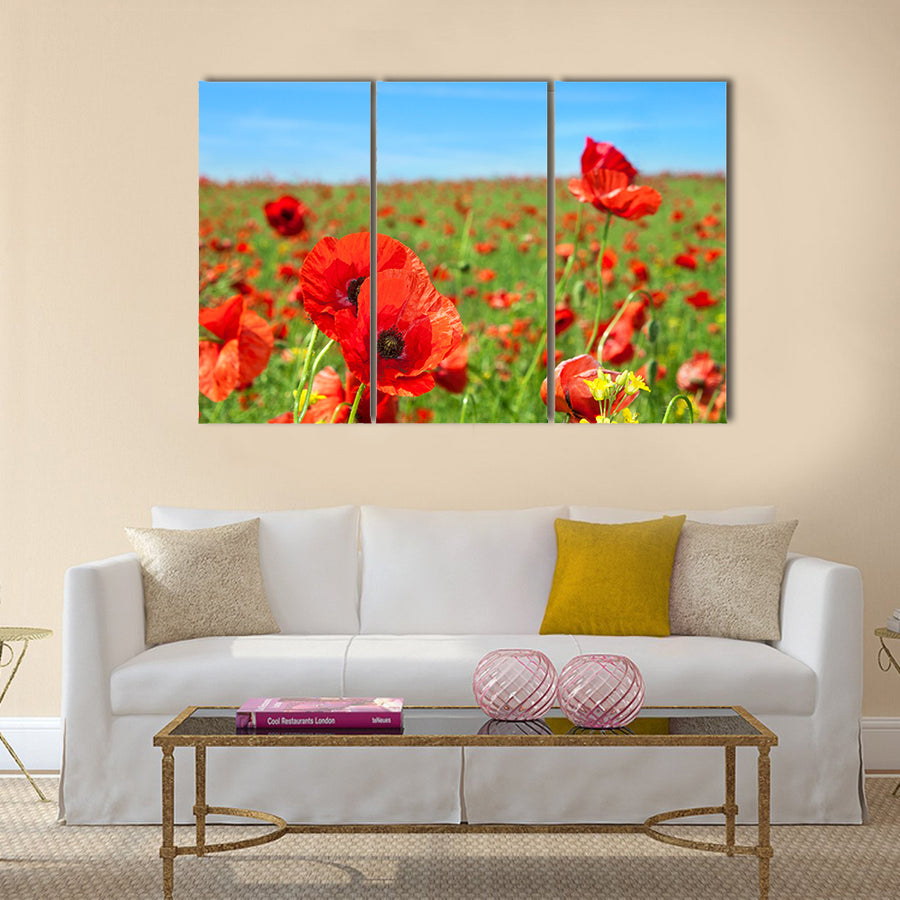Summer landscape, wild poppy flowers field Multi Panel Canvas Wall Art