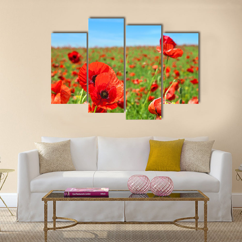Summer landscape, wild poppy flowers field Multi Panel Canvas Wall Art
