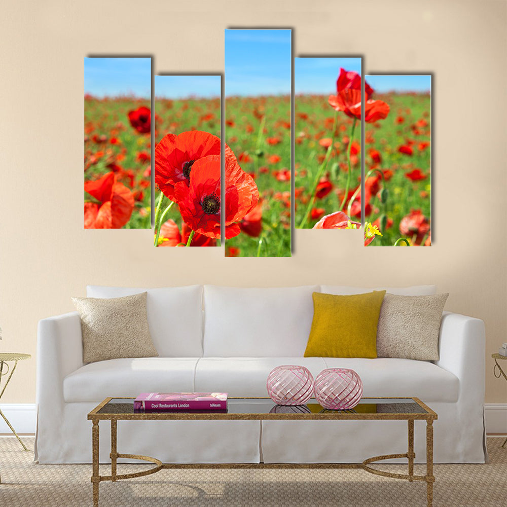 Summer landscape, wild poppy flowers field Multi Panel Canvas Wall Art