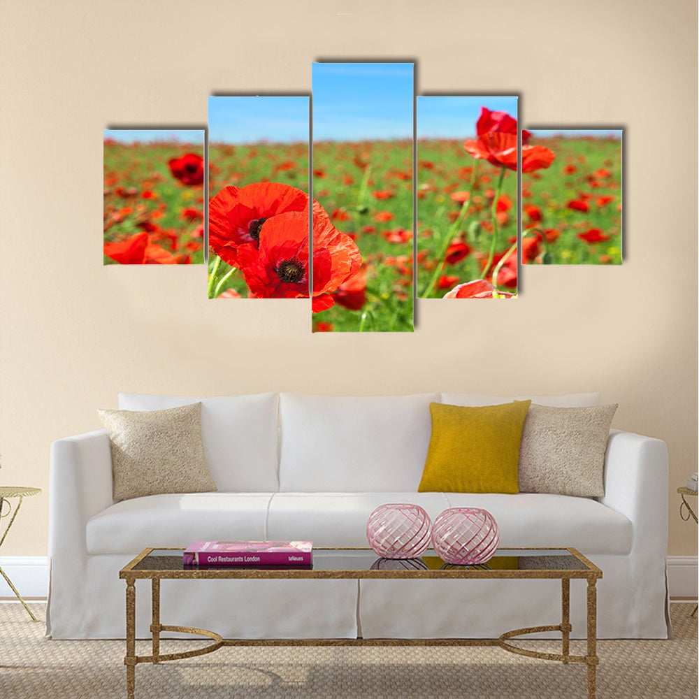 Summer landscape, wild poppy flowers field Multi Panel Canvas Wall Art
